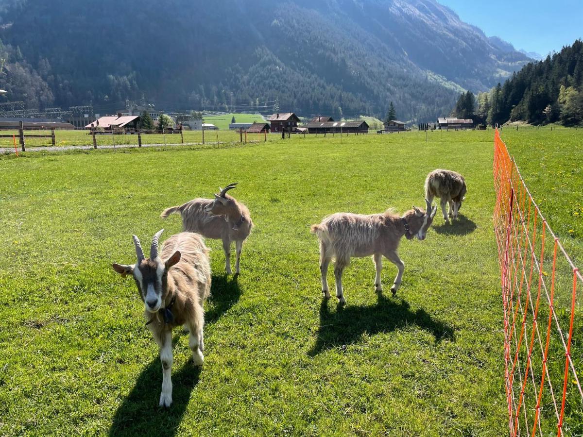 Schlafen Im Fass - Schlaffass - Abenteuer - Romantik - Haslifass Farm stay Innertkirchen