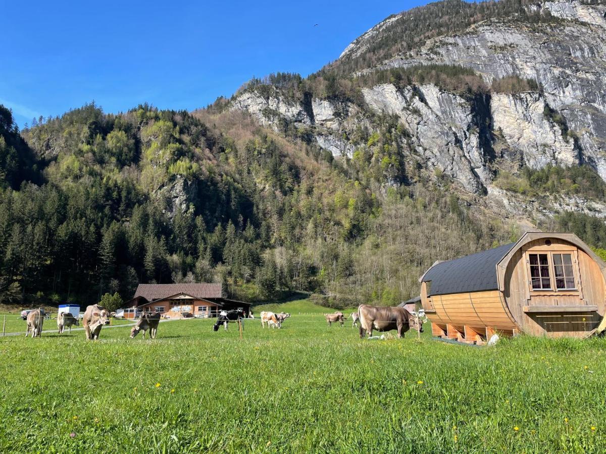 Schlafen Im Fass - Schlaffass - Abenteuer - Romantik - Haslifass Farm stay *